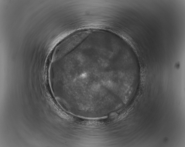 X0000115601077200912081108