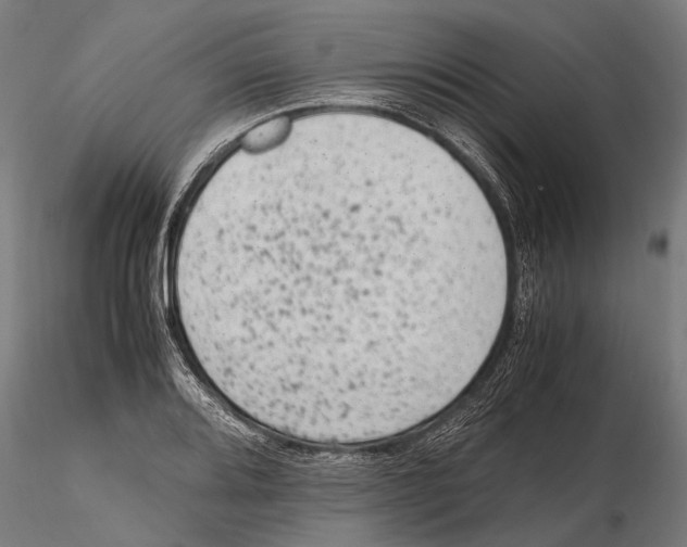 X0000115601080200912081108