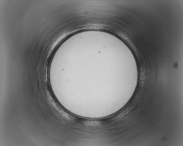 X0000115601083200912081108