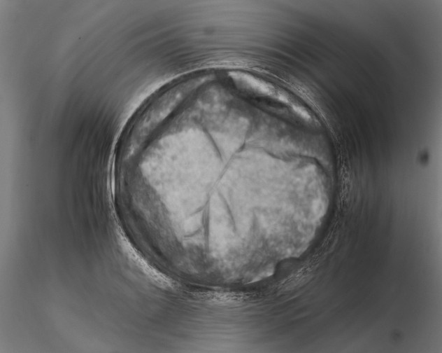 X0000115601084200912081108