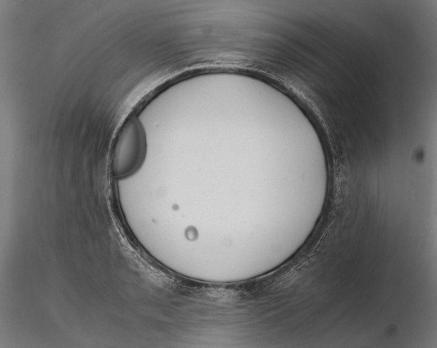 X0000115601085200912081108