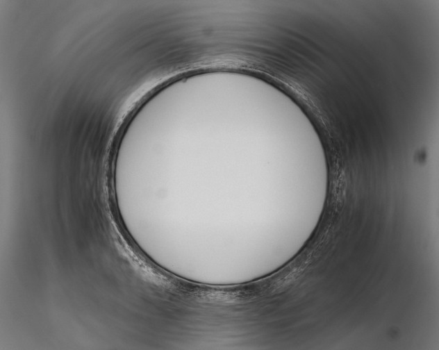 X0000115601086200912081108