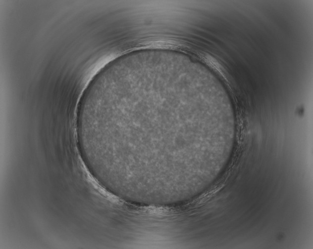 X0000115601087200912081108