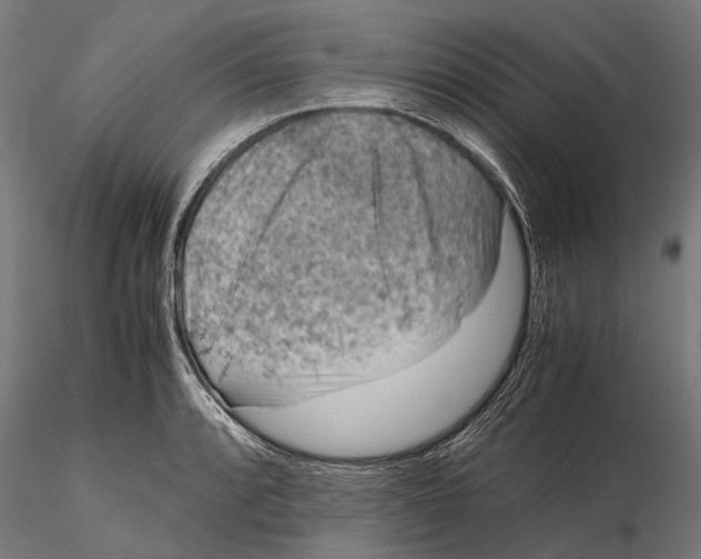 X0000115601088200912081107