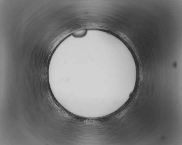 X0000115601089200912081107