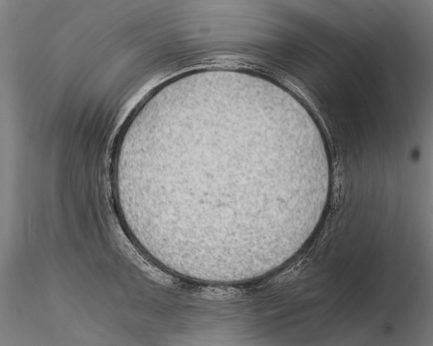 X0000115601091200912081107