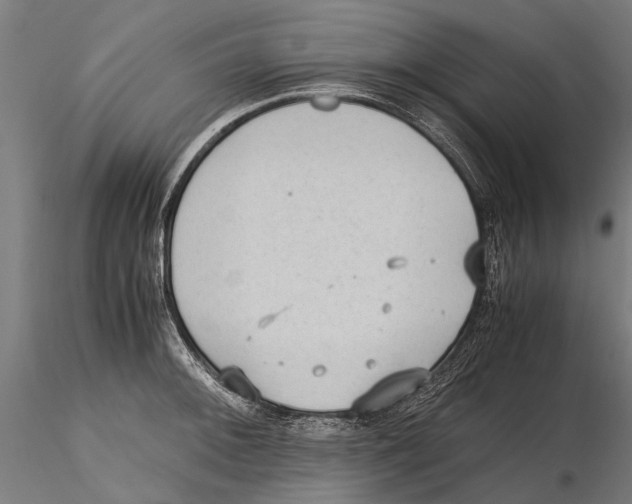 X0000115601092200912081107