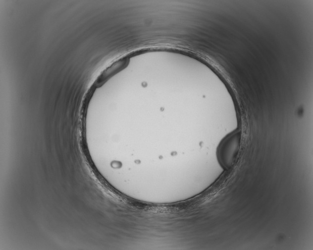 X0000115601093200912081107