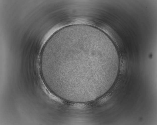 X0000115601094200912081107