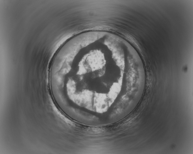 X0000115601095200912081107