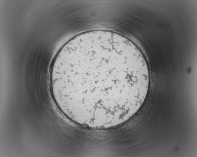 X0000115601096200912081107