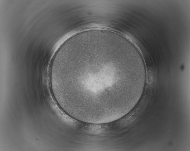 X0000115601098200912081107