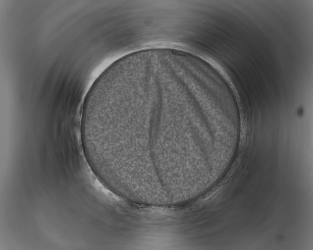 X0000115601102200912081107