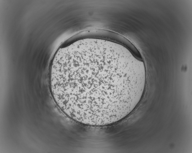 X0000115601104200912081107