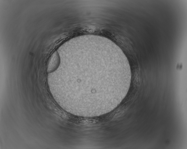 X0000115601105200912081107