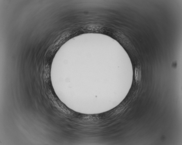 X0000115601107200912081107