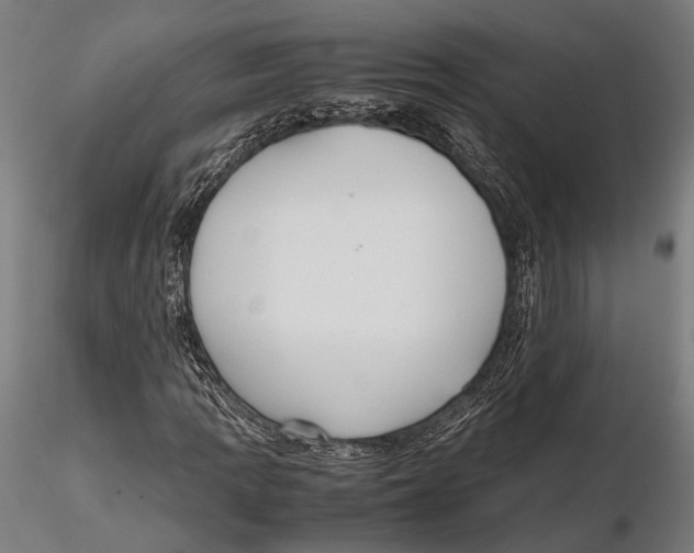 X0000115601109200912081107