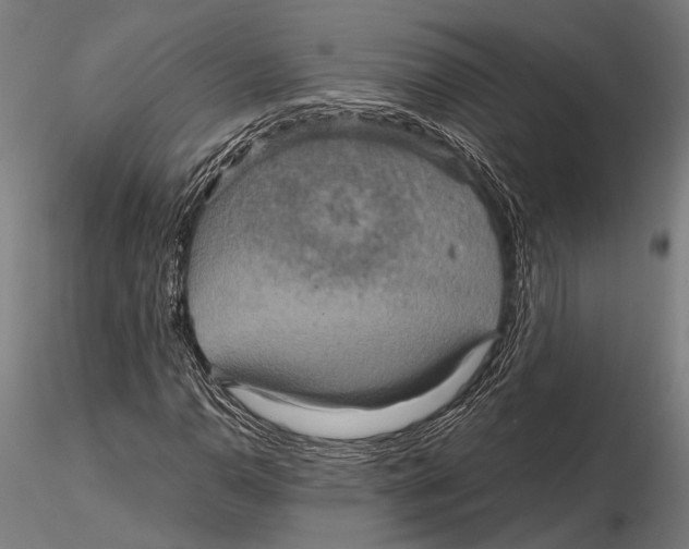 X0000115601110200912081107