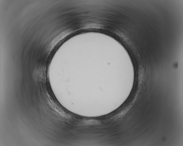 X0000115601113200912081107