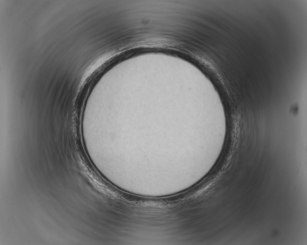 X0000115601114200912081107