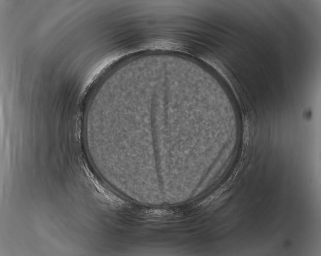 X0000115601115200912081107