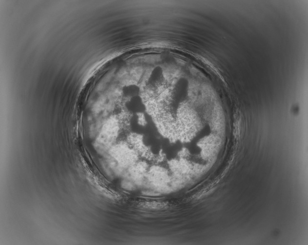 X0000115601117200912081107