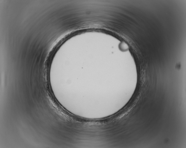 X0000115601118200912081107