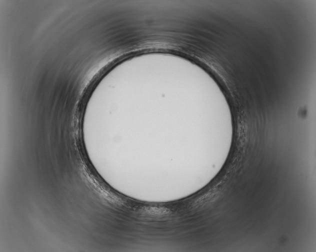 X0000115601119200912081107