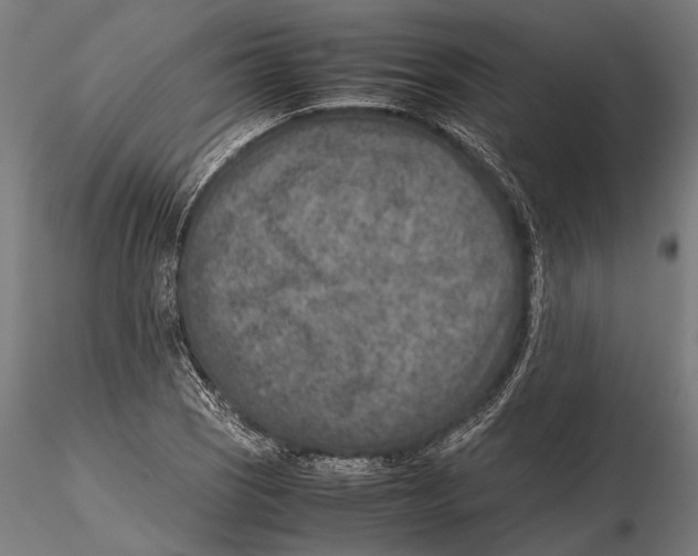 X0000115601121200912081107