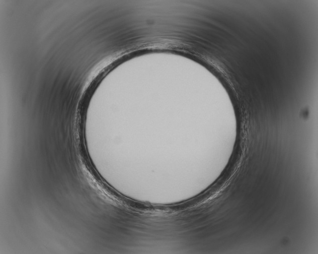 X0000115601122200912081107