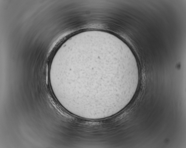 X0000115601123200912081107