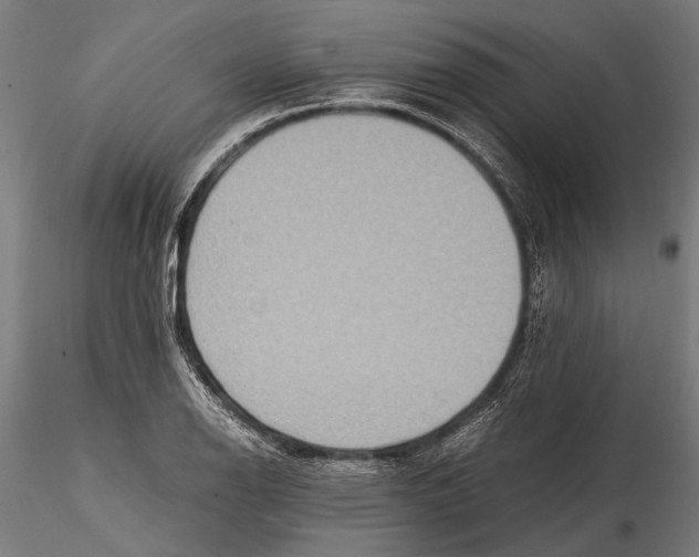 X0000115601126200912081107