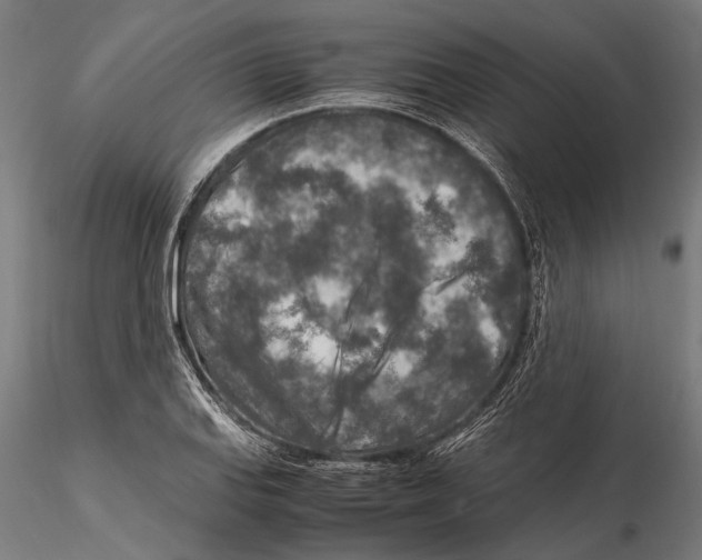 X0000115601127200912081107