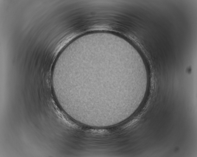 X0000115601129200912081107