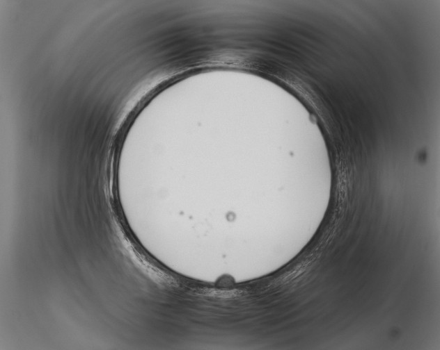 X0000115601131200912081107