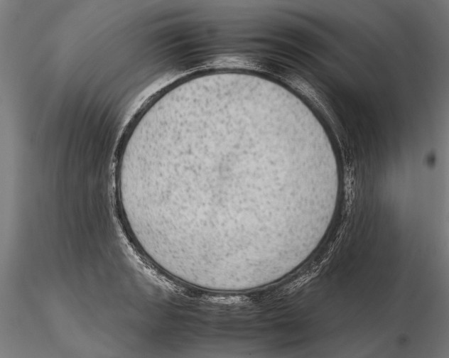 X0000115601133200912081107