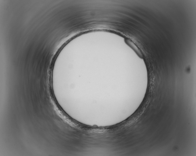 X0000115601134200912081107