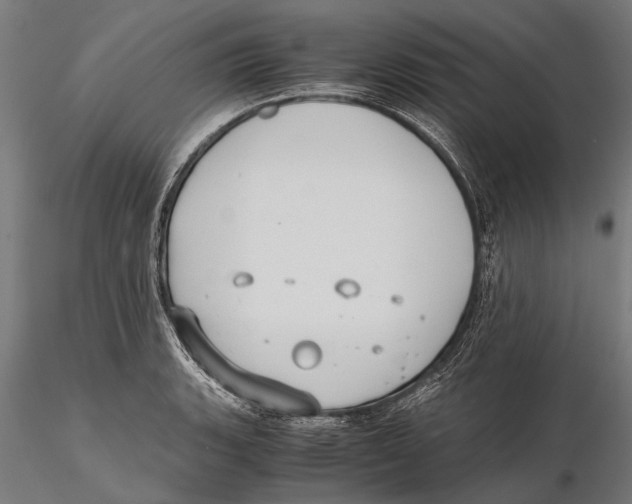 X0000115601135200912081107