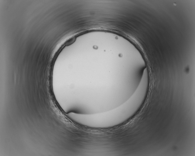 X0000115601138200912081107