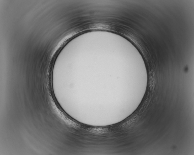 X0000115601139200912081107