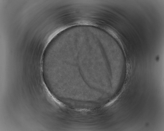 X0000115601141200912081107