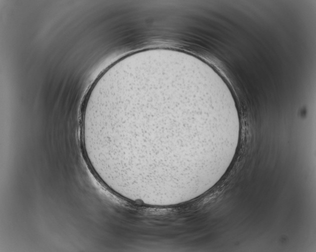 X0000115601143200912081107