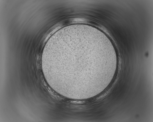 X0000115601145200912081107