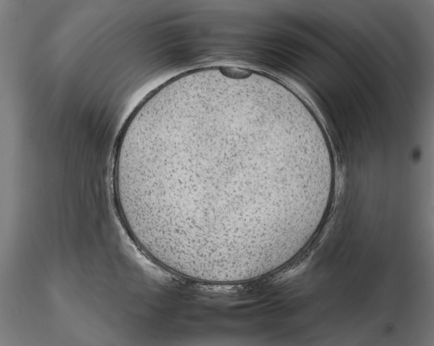 X0000115601149200912081107