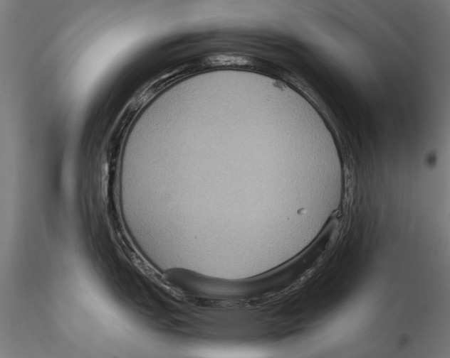 X0000115601151200912081107