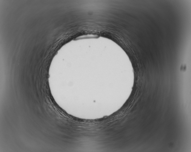 X0000115601153200912081107