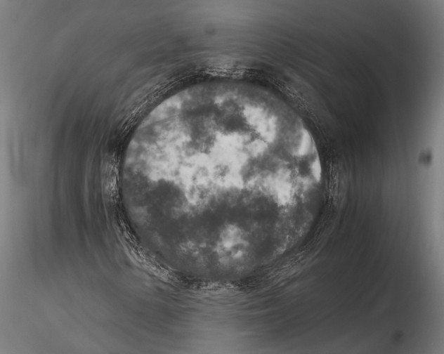 X0000115601154200912081106