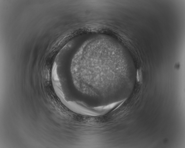 X0000115601155200912081106