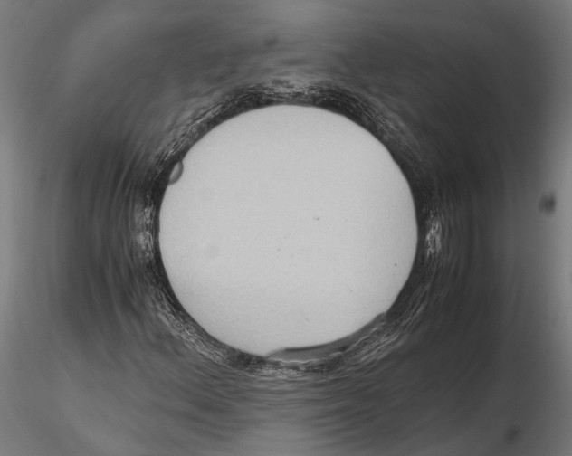 X0000115601156200912081106