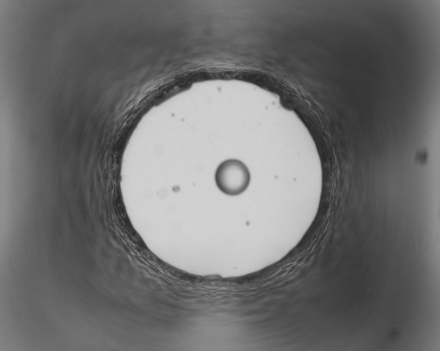 X0000115601157200912081106